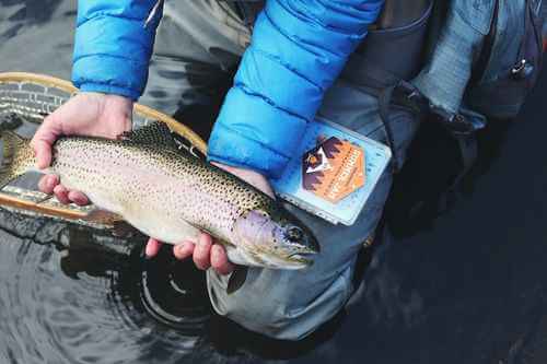 Group of anglers holding trophy fish after a Fishing Club Canada road trip event