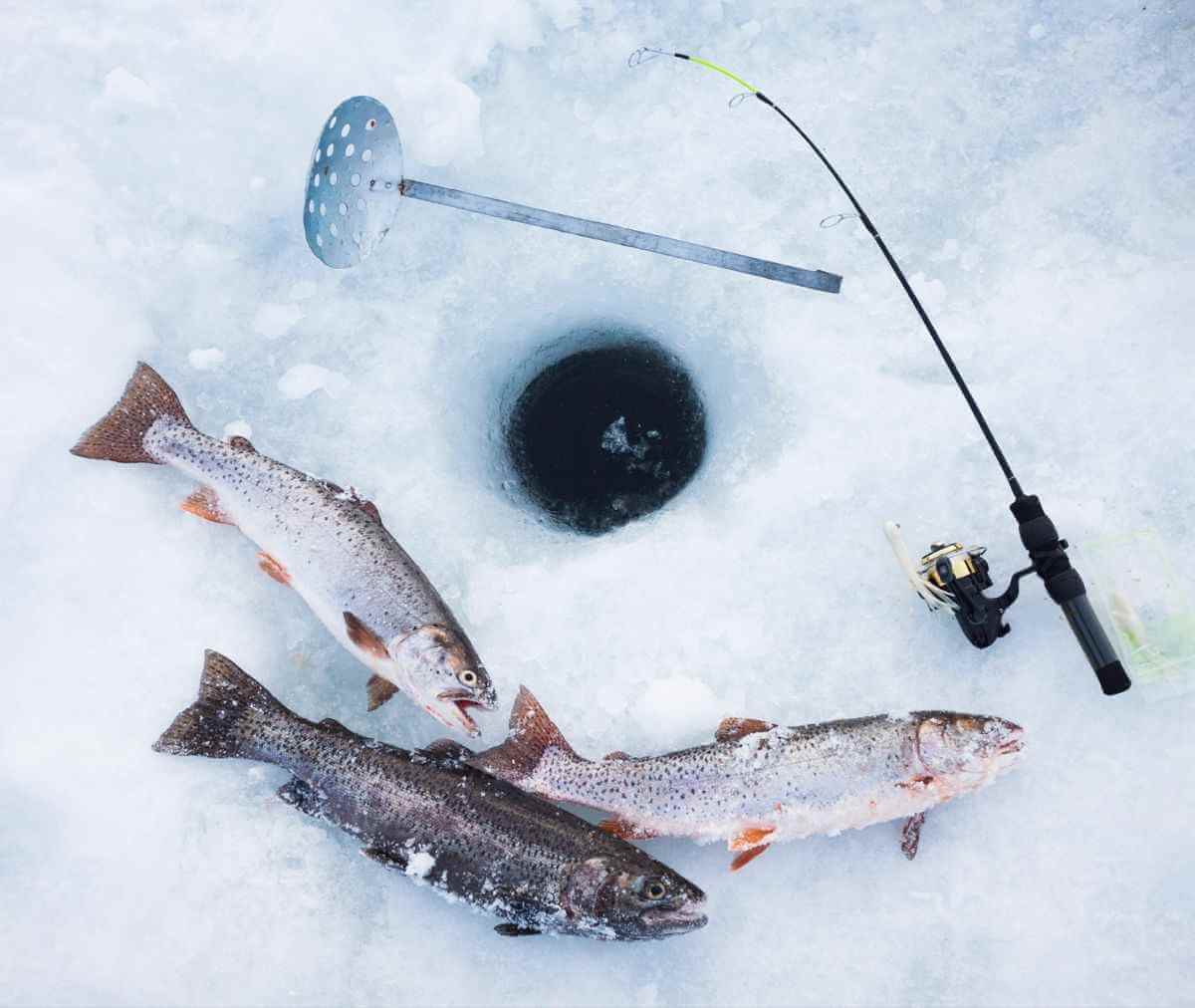 Fishing Club Canada members ice fishing on a frozen lake with shelters and gear